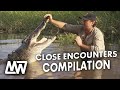 Crocodile close encounters  compilation  matt wright