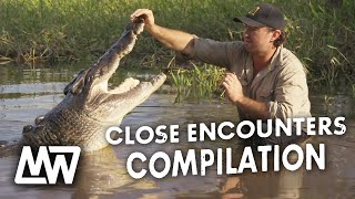 CROCODILE CLOSE ENCOUNTERS!! | Compilation | Matt Wright