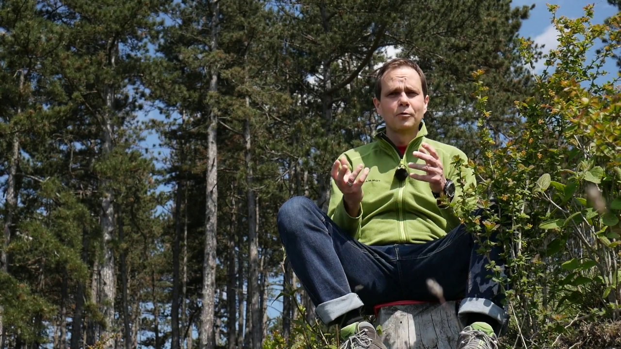 Fehler der Selbständigkeit in der Erlebnispädagogik