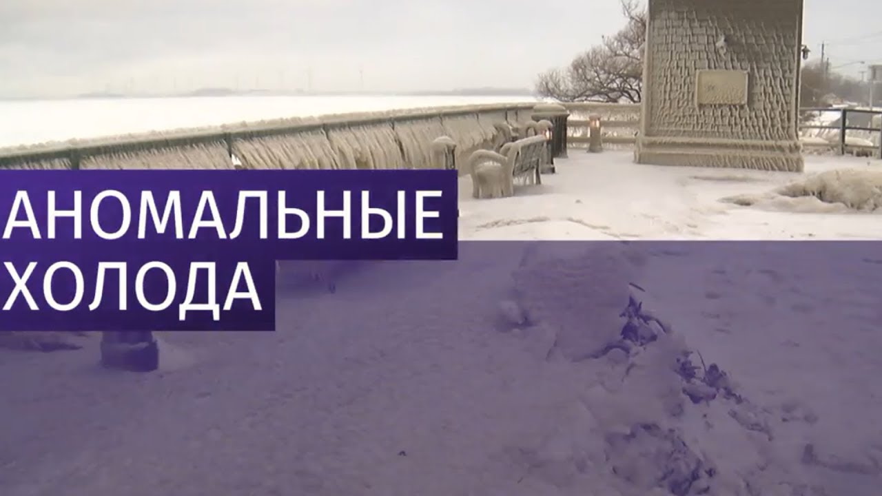 Революция в России 2019 года рекомендуем Революция в России 2019 года рекомендации