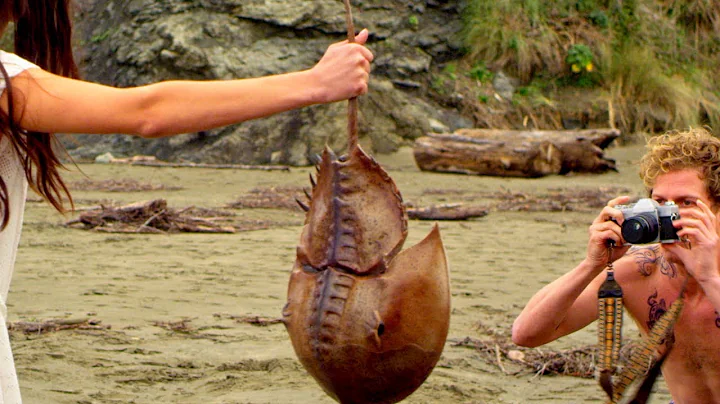 Crabs! (2022) | Trailer | Dylan Riley Snyder | Jes...