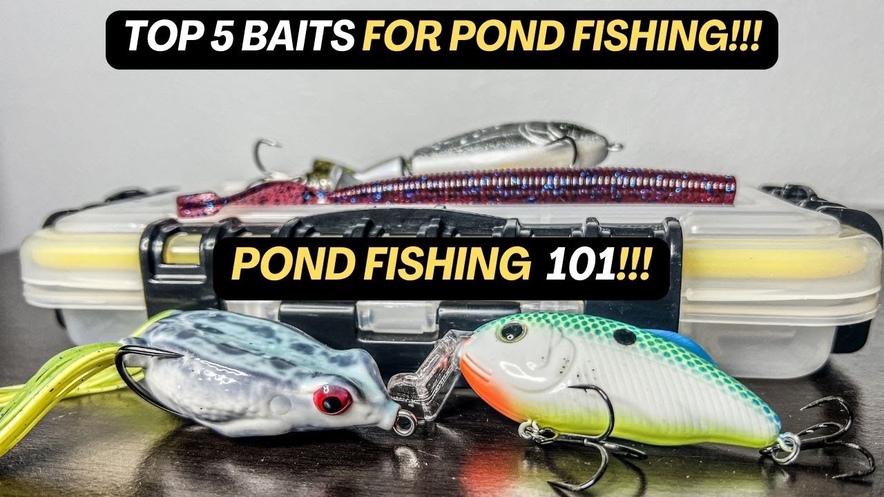 Top 5 Baits For Pond Fishing [Pond Fishing 101] YouTube