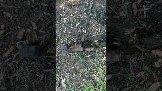 One Small Leak. One Huge Mess