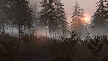 Three.js Environment Demo #2