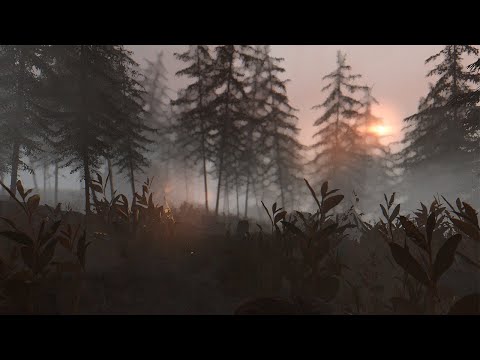Three.js Environment Demo #2