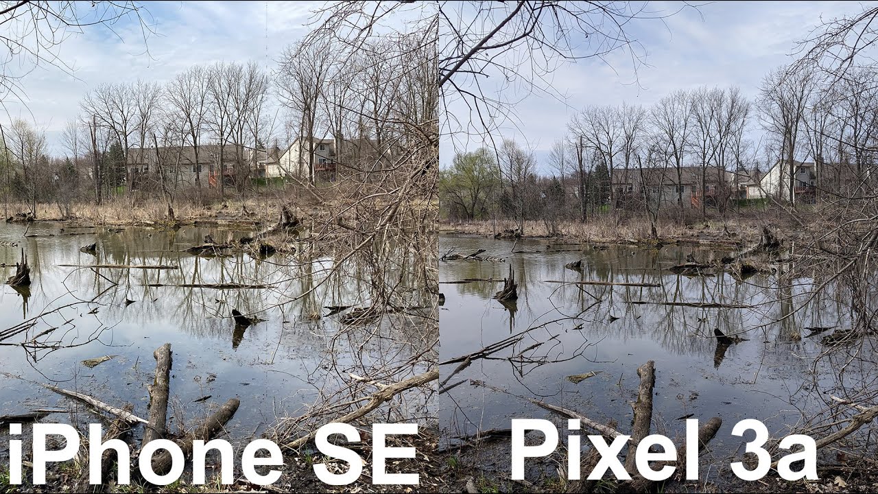 iPhone SE vs Pixel 3A Real World Camera Comparisons