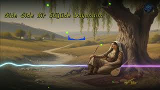 Gide Gide Bir Söğüde Dayandım (Modern Mızrap New Versiyon)