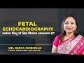 Fetal echocardiography गर्भस्थ शिशु के लिए कितना आवश्यक है? Dr. Smita Dhengle