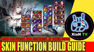 Skin Function: How to build Elemental and Inner Stats in Skin Function | MU Origin 2