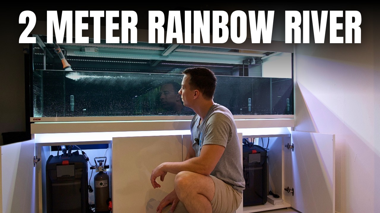 BUILDING THE ULTIMATE RAINBOWFISH TANK - Equipment & First Fill