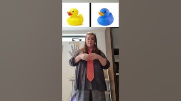 Auslan Same how  different how? #2 #shorts #learning intention