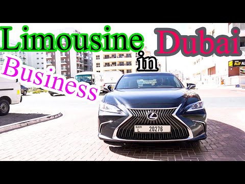 How To Start Limousine Business in Dubai || How To Work Uber & Cream in UAE