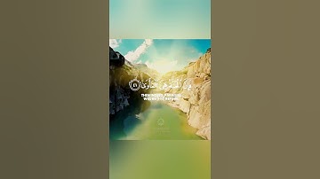 آيات منجيات من القرآن الكريم حالات واتس اب دينية قصيرة مؤثرة قرآن كريم تلاوة خاشعة انستا وفيسبوك