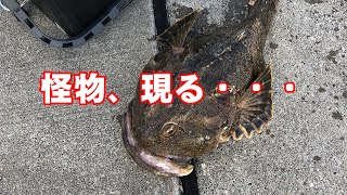 No.259 [2022]カジカ釣り第6戦目 稚内の釣り人こーすけ(2022.11.23