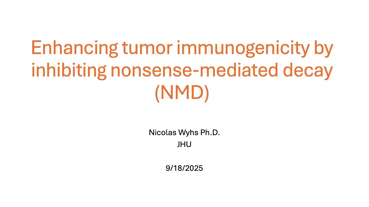 Enhancing tumor immunogenicity by inhibiting nonsense mediated decay NMD