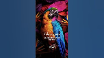 والله يدعوا إلى دار السلام | الشيخ احمد النفيس | حالات واتس اب دينية قصيرة قران كريم تلاوة خاشعة