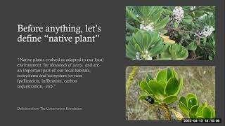 Conservation Conversations: Wednesday, April 13, 2022. At Home Native Landscaping.
At Home Native Landscaping Presented by Brian Diaz, President, Dade Chapter of the Florida Native Plant Society. Conservation Conversations: Wednesday, April 13, 2022. At Home Native Landscaping.
