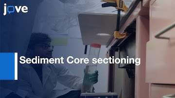 Pore Waters extraction and Sediment Core sectioning | Protocol Preview