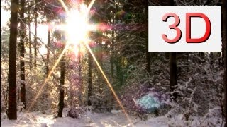 3D-Video: A Winter Dreamscape
© by 3D-Taeuber, for business-enquiries contact me by email, or buy my videos here : http://bit.ly/2gnbVW8
In order to keep this channel alive I really have to make some money, so you have to understand - I cant allow free usage of my videos!
Take this virtual walk.
It was freezing cold, the shining sun created sparkles in the crystals of the fallen snow, fresh flakes were dancing around me and I was nothing but happy to be a part of this incredible beautiful scenery. This was one of the moments where nothing else in the world exists but this beauty which I was blessed to capture at least a little part of it onto film, but all of it absorbed by my soul.
Think what you want... I love nature, and I know why!
LOCATION:
A forest in bavaria / germany.
3D Systems tested to be compatible:
This video works with all major known 3D Viewing Gadgets and 3D Glasses.
3D GLASSES: Cardboard 3D goggles red / cyan, green / magenta, blue / yellow, LCD Shutter Glasses, VR-SYSTEMS, 3D Beamers
3D CELL PHONES: HTC Evo 3D, LG Optimus 3D, LG Thrill 4G, Sharp Lynx
3D LAPTOPS: Sony VAIO F23Z1E/BI 3D, Sony VPCF21Z1E/BI, Acer Aspire 5745DG, Acer Aspire 5738DG
3D MONITORS: LG D2342P-PN, ASUS VG278H, Samsung SyncMaster S27A950D, AOC e2352Phz
3D BEAMERS: Epson EH-TW5900, Panasonic PT-AT5000, Optoma HD300X, Sony VPL-HW30ES, Acer H5360BD, Epson EH-TW9000, etc.
3D TV
Samsung Smart TV, Samsung PS50B450
(tm) All productnames/brands are registered and belong to their respective owners! 3D-Video: A Winter Dreamscape