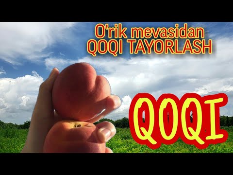 Erkaklar hojatxonasidan videolar