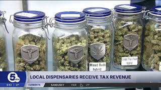How much are Lorain County communities getting from recreational cannabis tax revenue