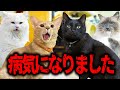 しばらく動画投稿できなかった理由。ご心配お掛けしました。