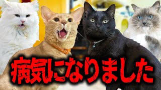 しばらく動画投稿できなかった理由。ご心配お掛けしました。