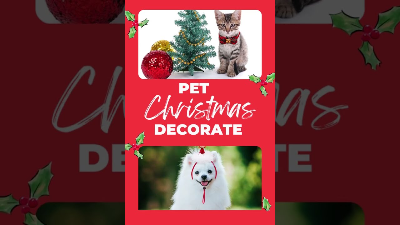 Keeping Your Canine Companion Cozy and Stylish Winter Dog Gear Christmas Gifts