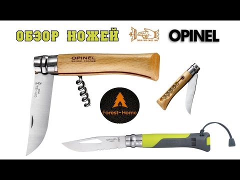 Форест Хоум Интернет Магазин