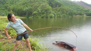 Harvesting fish - The bagua net catches a lot of fish and catches a lot of fish in the lake