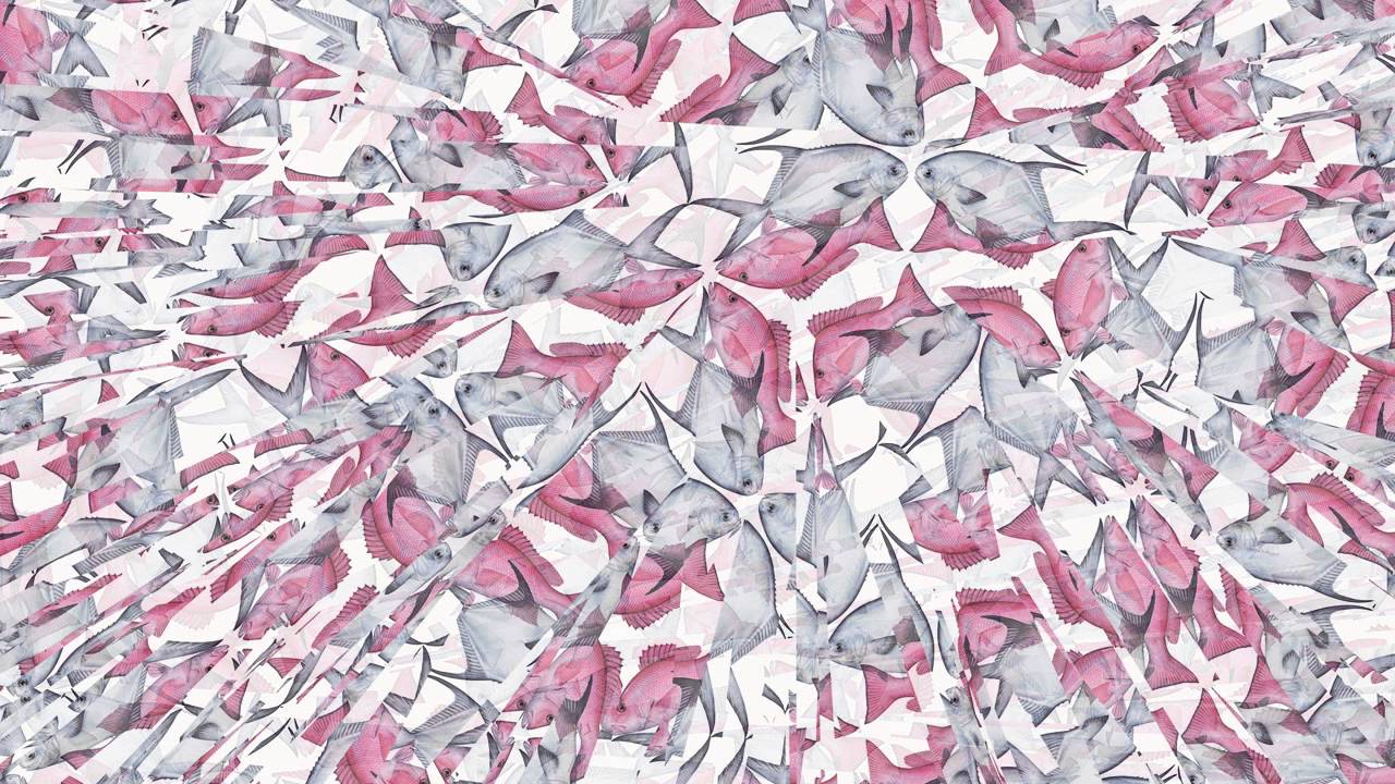 Illusioni Ittiche - Designer Valerio Sommella