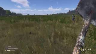 DayZ   👣  PS5