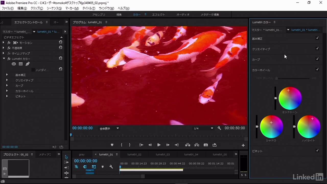 difference between after effects and premiere pro difference between after effects and premiere pro