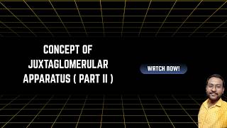 CONCEPT OF JUXTAGLOMERULAR APPARATUS | PART II | LIFESCIENCE | ANIMAL EXCRETION | NEET |