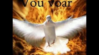 Vou voar nas asas do Espírito, vou voar.