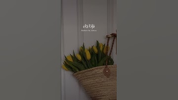 تلاوة جميلة وهادئة بصوت #القارئ #اسلام صبحي من #سورة الإسراء 🤍