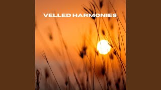 Veiled Harmonies (Loopable, No Fade)