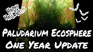 Famous π± Paludarium Ecosphere: One Year Update Profile
