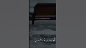 القارئ محمد الحيدان ماتيسر من القرآن آيات القرآن الكريم #قران_كريم #اكسبلور #تذكار #لايك #متابعه