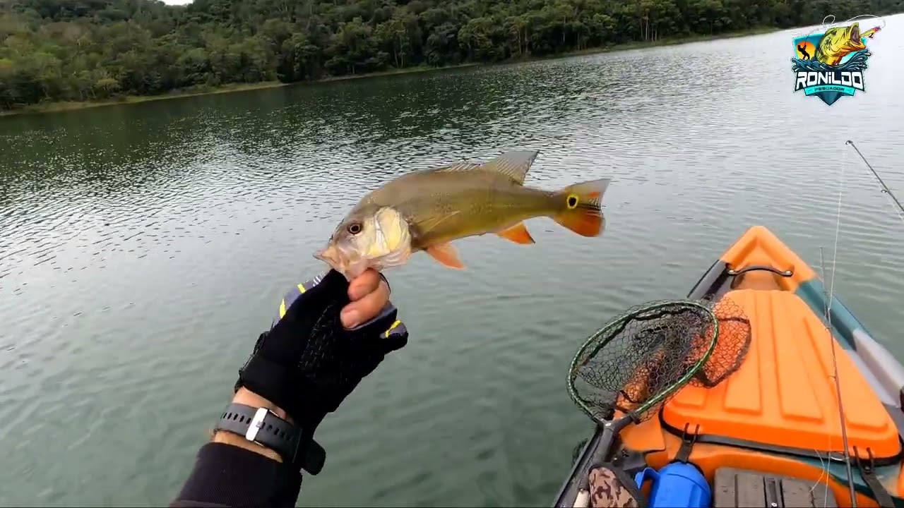 Pescaria de tucunaré no lago corumba 4