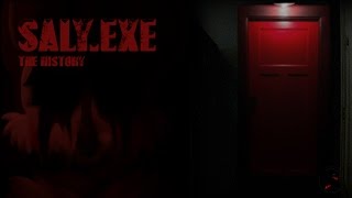 Sly's Story / Creepypasta #2 : Sally.exe [FR]