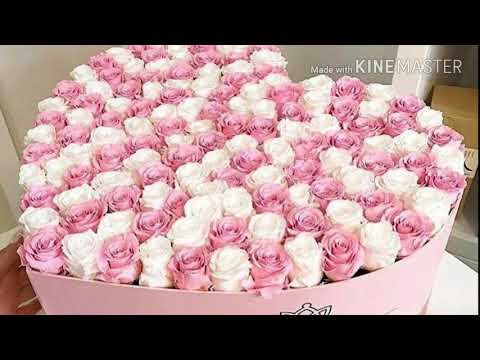อรุณสวัสดิ์วันอังคารสดใส "ใครคือดวงตะวันของเธอ"(Ost.ปดิวรัดา)