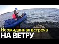 Неожиданная встреча на ветру | Беломорские приключения 2016 | Приключения на байдарке