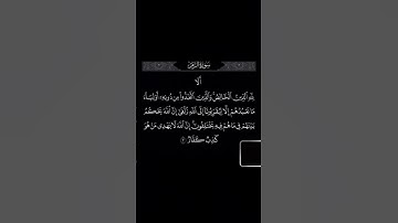 سورة الزمر ياسر الدوسري #سورة_الزمر #ياسر_الدوسري #الله #قرآن #رمضان #fyp #viral #quran