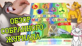 PANINI Удивительный мир животных Disney - 2016г. Обзор собранной коллекции наклеек PANINI Удивительный мир животных Disney - 2016г. Обзор собранной коллекции наклеек