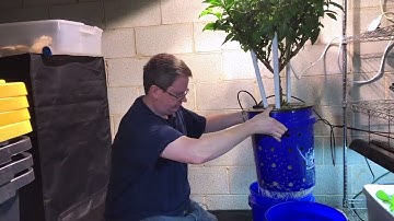 Easy way to change hydroponic nutrients