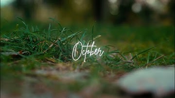 october | Shot on Sony