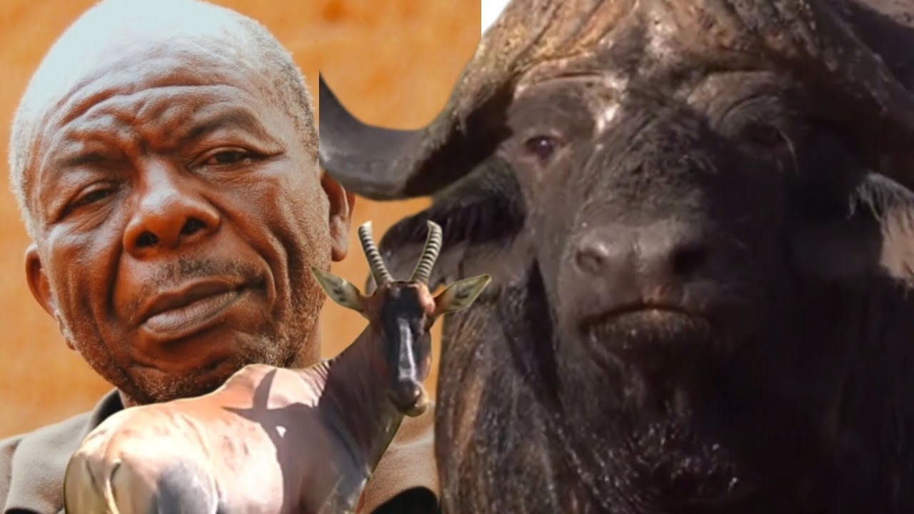 OGBOJU ODE TO BA EFON JA NINU IGBO NI 2022...