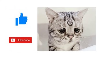 Node.js Picture Upload (with AJAX) - 1 - Intro