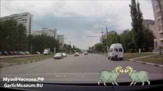 Авто Бараны в Воронеже(, 2016-08-17T11:26:23.000Z)